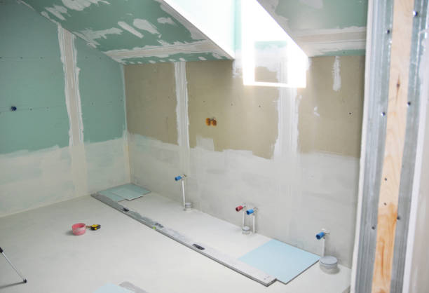 Best Crawl Space Mold Remediation  in Birch Run, MI