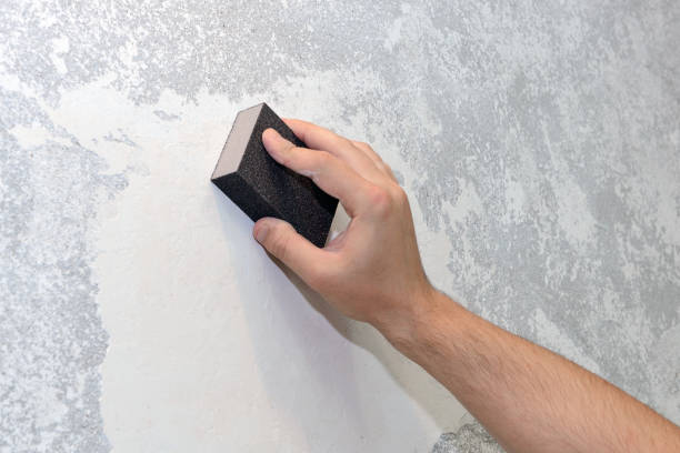  Birch Run, MI Mold Removal Pros