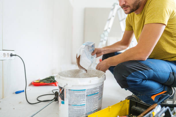 Best Emergency Mold Remediation  in Birch Run, MI