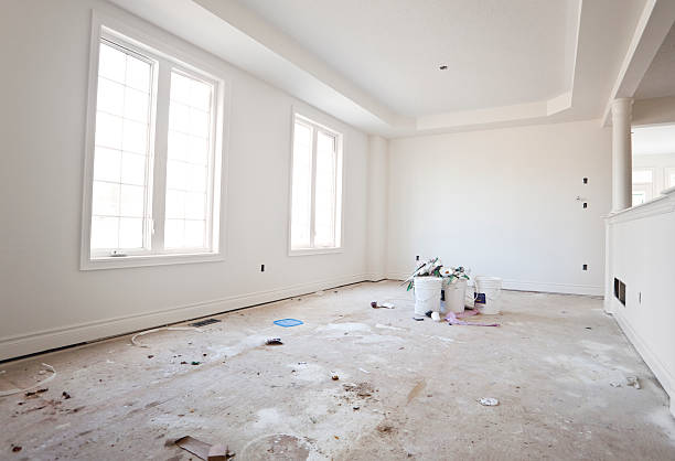 Best Black Mold Removal  in Birch Run, MI