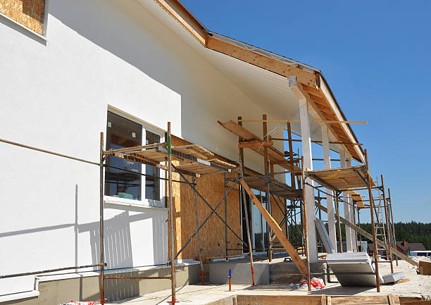 Best Asbestos and Lead Testing During Mold Inspection  in Birch Run, MI