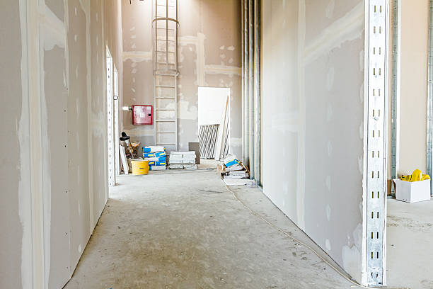 Best HVAC Mold Inspection and Cleaning  in Birch Run, MI