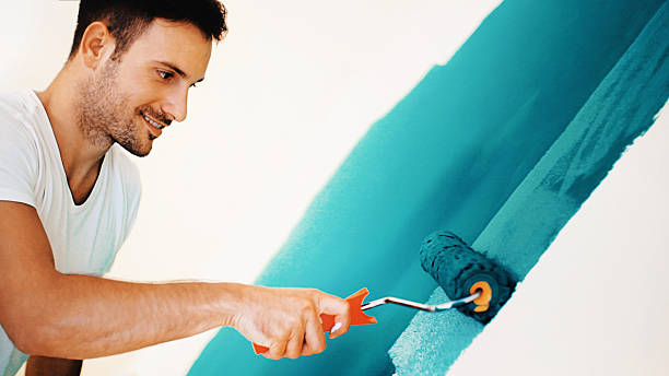 Best Mold Remediation for Rental Properties  in Birch Run, MI