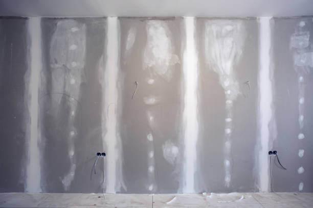 Birch Run, MI Mold Removal Company